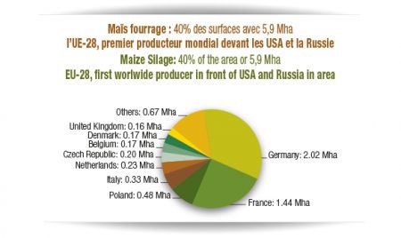 cepm_graphe_fourrage