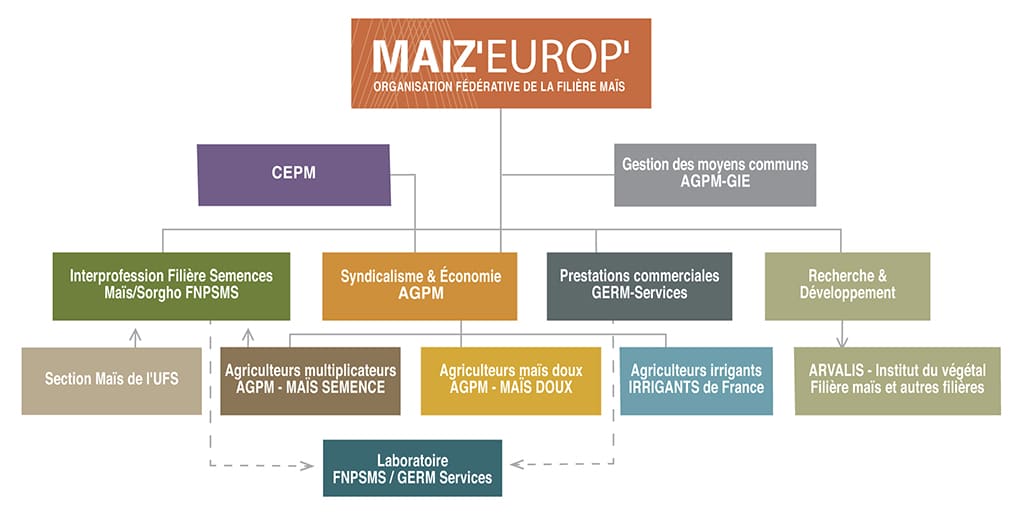 organigramme-maizeurop-december-2016