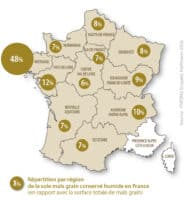 carte production maïs grain humide