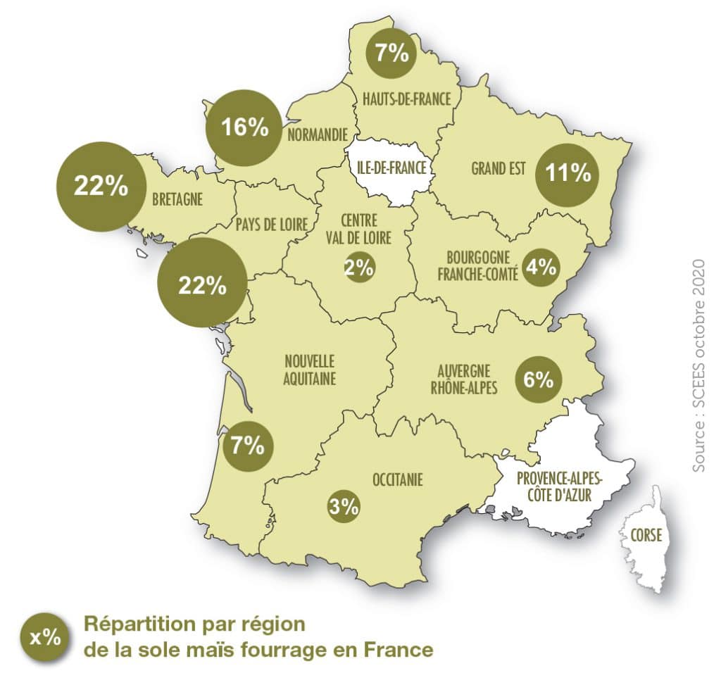 Production maïs fourrage en france 2020