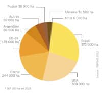 graphique rang mondial productin de semences de maïs