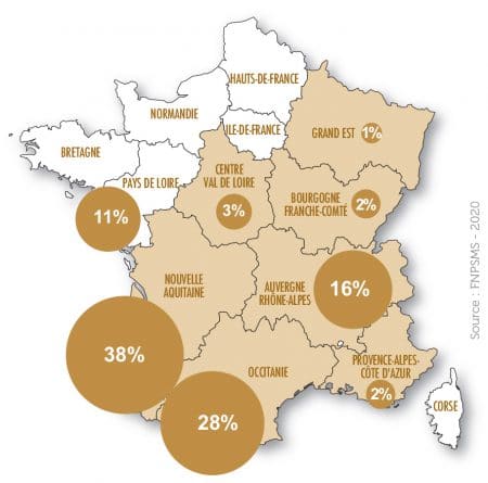 Semence surface France