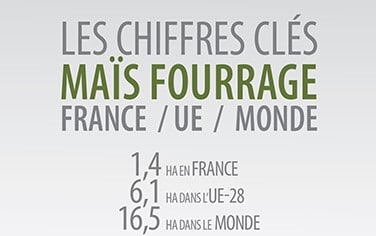 chiffres clés 2019 maïs fourrage