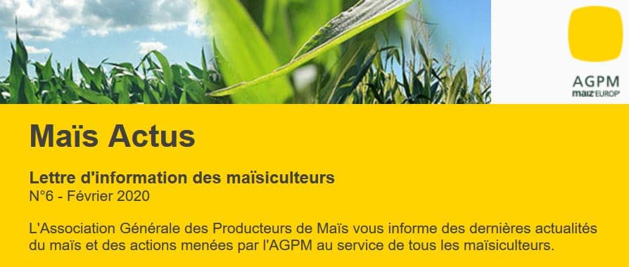 Maïs actus numéro 6 de février 2020 est une lettre d'information des maïsiculteurs envoyée par l'association générale des producteurs de maïs pour faire connaître ses actions