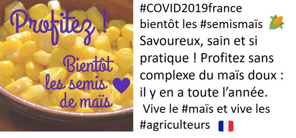 tweet de la campagne semis de maïs sur le maïs doux du vendredi 10 avril