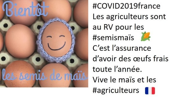 Tweet pour la campagne de semis de maïs sur les œufs frais du mercredi 1 avril