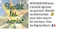 tweet de la campagne de semis de maïs du lundi 30 mars