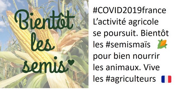 tweet de la campagne bientôt les semis de maïs sur l'alimentation des animaux du lundi 30 mars