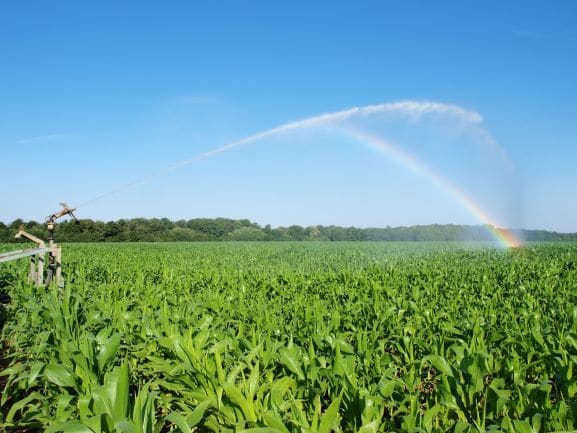 L'irrigation permet de sécuriser l'approvisionnement en eau dans les territoires