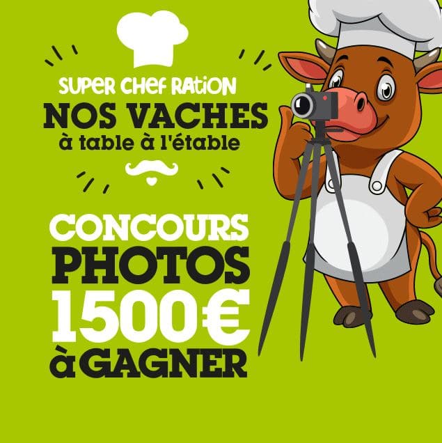 concours-photo-mais-fourrage