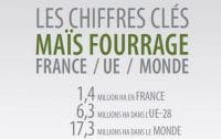 Chiffres-Maïs Fourrage-2020
