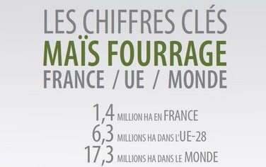 Chiffres-Maïs Fourrage-2020