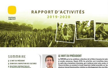 Rapport activités FNPSMS 2020