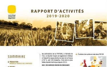 rapport activités maïs semence 2020