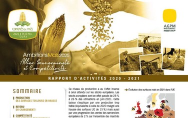 rapport activités AGPM maïs semence 2021