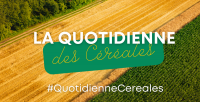 sia 2022 quotidienne des céréales