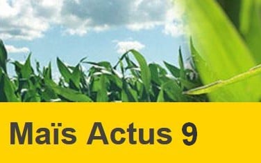 maïs actus 9 de juillet 2021