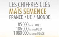 chiffres clés maïs semence 2022