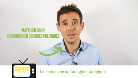 pub segmentée M6 le maïs culture géostratégique Matthieu Brun