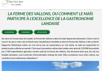 article sur le maïs sur le site que faire dans les Landes