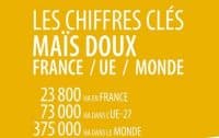 les chiffres clés du maïs doux 2022