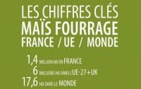 chiffres clés maïs fourrage 2022