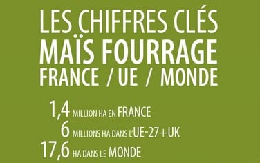 chiffres clés maïs fourrage 2022