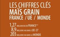 chiffres clés maïs semence 2022