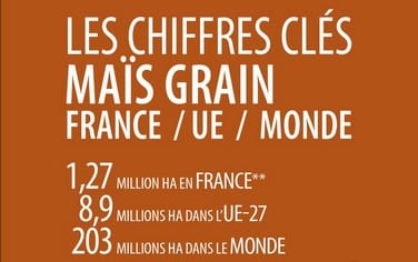 chiffres clés maïs grain 2022