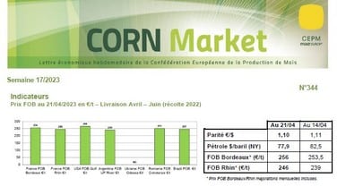 vignette de la newsletter corn market 2023
