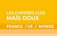 vignette chiffres clés maïs doux 2023