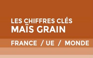 vignette chiffres clés maïs grains 2023