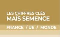 vignette chiffres clés maïs semence 2023