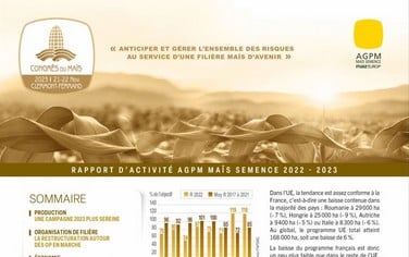 vignette rapport activités maïs Semence 2023