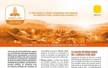 vignette focus communication 2023