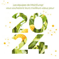carte de vœux maizeurop 2024 animée