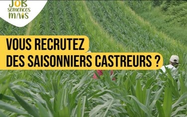 vignette vidéo site recrutement castreurs