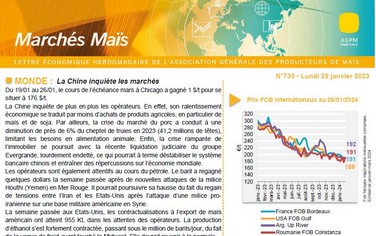 vignette lettre des marchés 2024