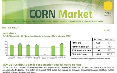 vignette corn market FR 2024