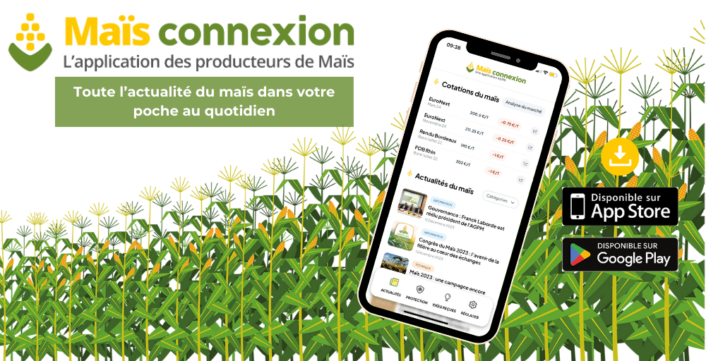 application maïs connexion