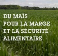 Titre de la vidéo Ma vache, mon maïs fourrage et moi "Du maïs pour la marge et la sécurité alimentaire"