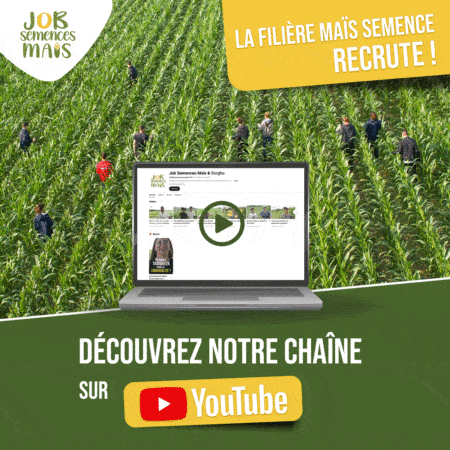 chaine youtube job semences maïs