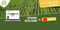 chaine Youtube Job Semences maïs