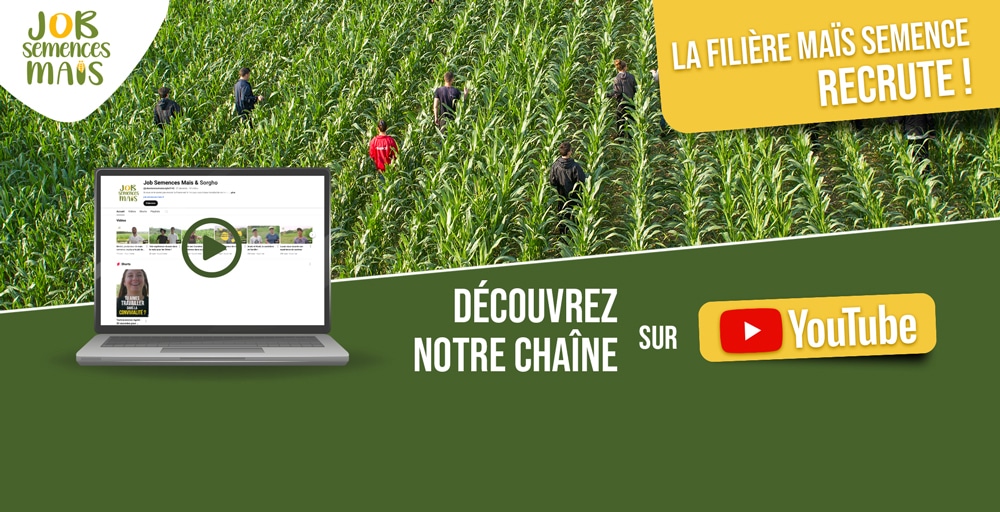 chaine Youtube Job Semences maïs